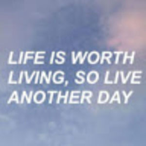 Meet your Posher, Ashlyn